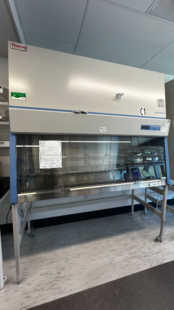 Image of Thermo Scientific 1300 Series A2 BSC- 6ft